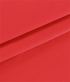 IMAGE_T