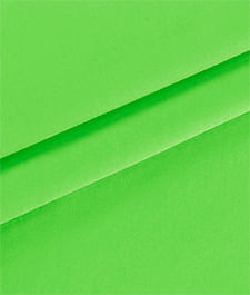 IMAGE_T