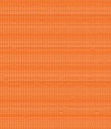 IMAGE_T
