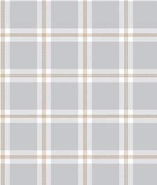 IMAGE_T