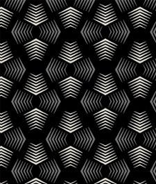 IMAGE_T