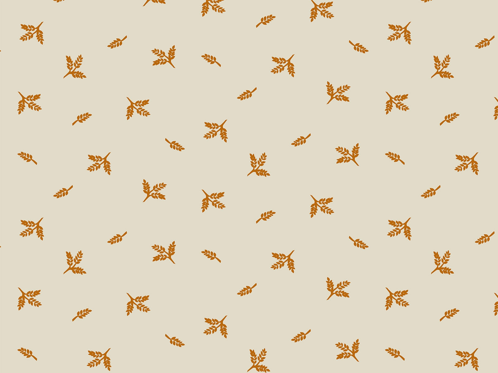 IMAGE_L