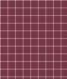 IMAGE_T