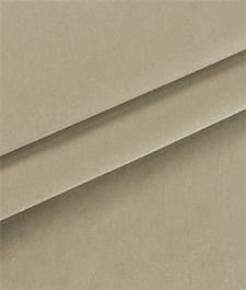 IMAGE_T
