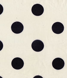 IMAGE_T