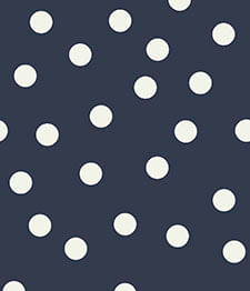 IMAGE_T