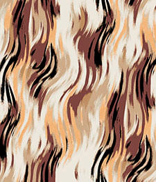 IMAGE_T