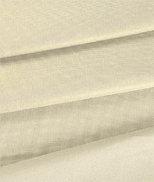 IMAGE_T