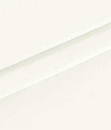 IMAGE_T