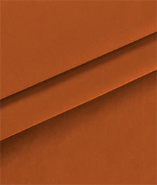 IMAGE_T