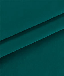 IMAGE_T