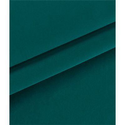 IMAGE_T