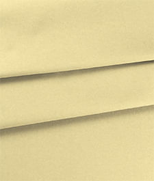 IMAGE_T