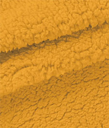 IMAGE_T