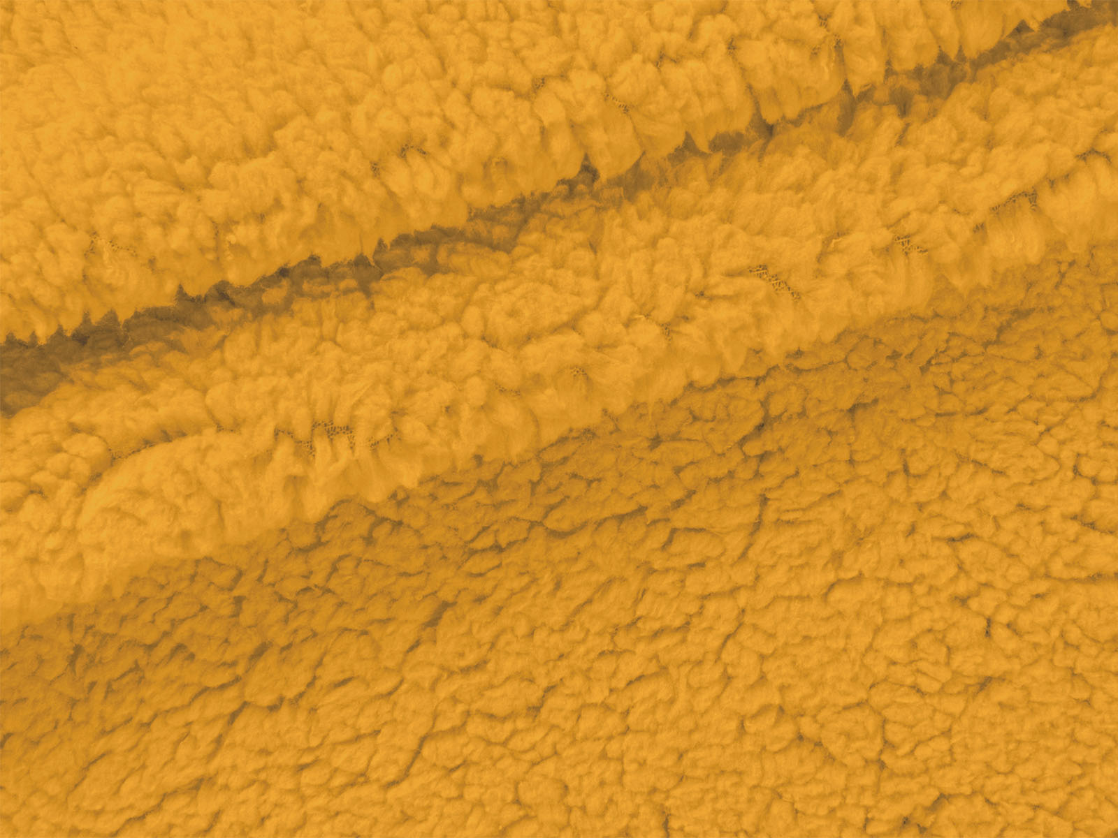 IMAGE_L