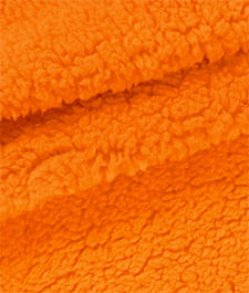 IMAGE_T