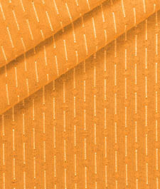 IMAGE_T