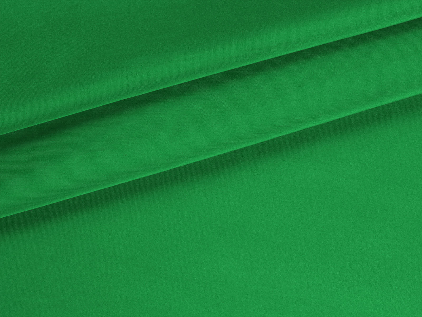 IMAGE_L