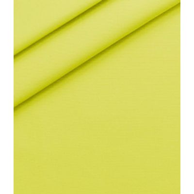 IMAGE_T