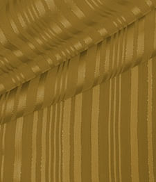IMAGE_T