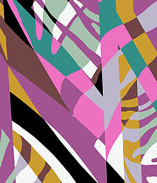 IMAGE_T