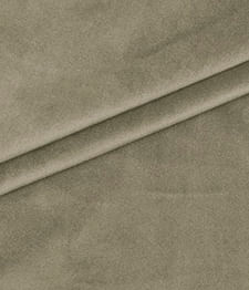 IMAGE_T
