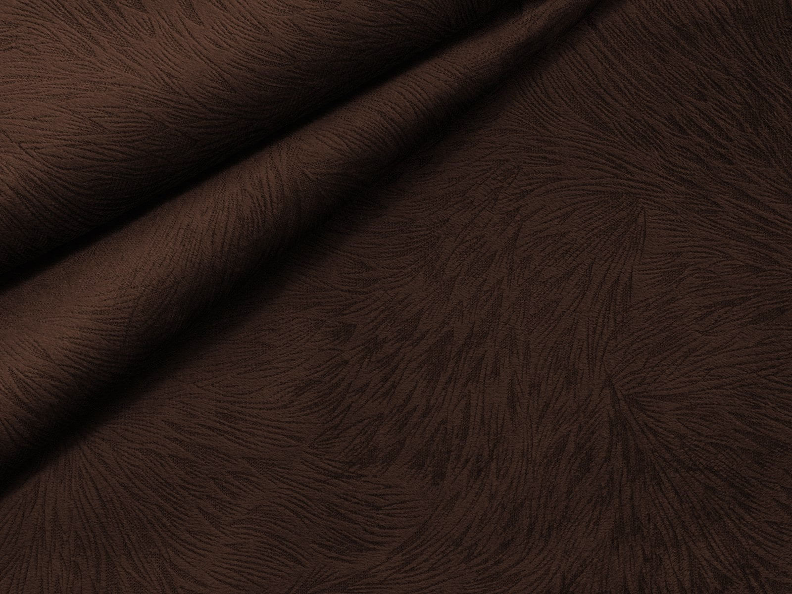 IMAGE_L