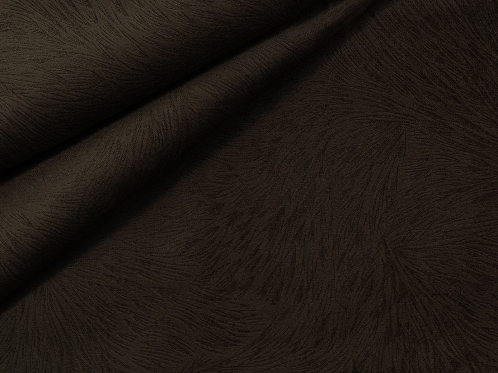 IMAGE_L