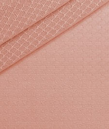 IMAGE_T
