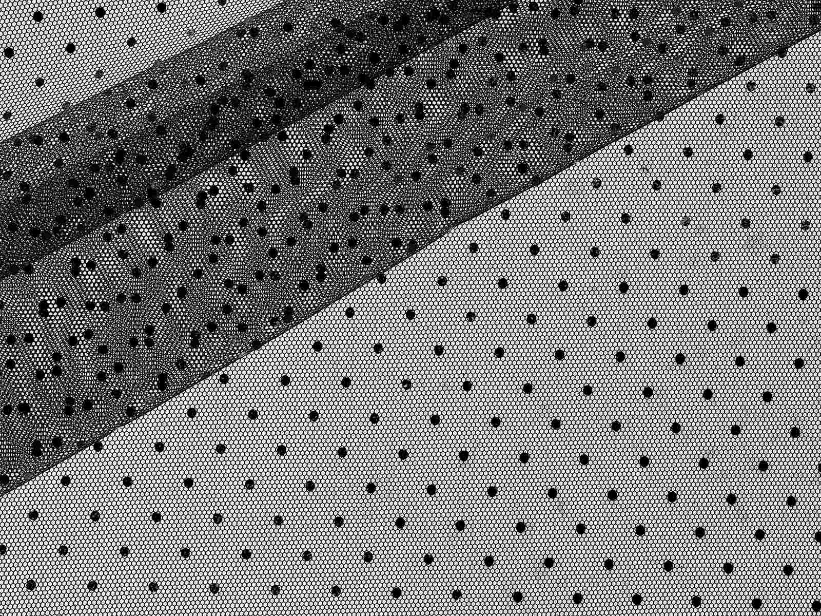 IMAGE_L