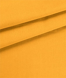 IMAGE_T
