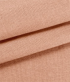 IMAGE_T