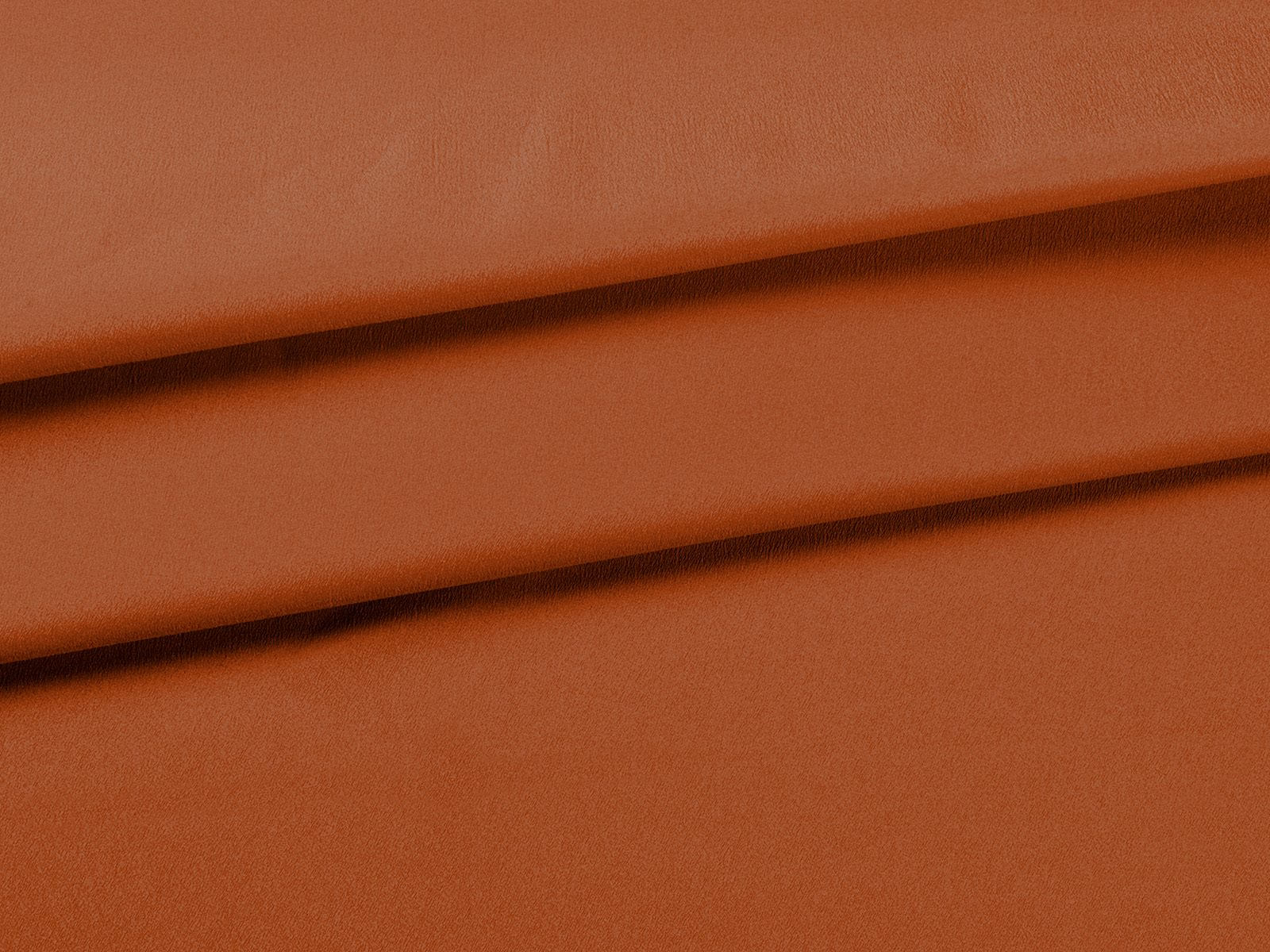 IMAGE_L