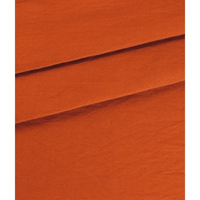 IMAGE_T