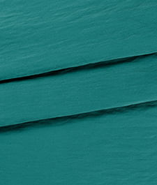 IMAGE_T