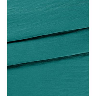 IMAGE_T