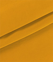 IMAGE_T