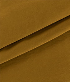 IMAGE_T