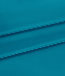 IMAGE_T