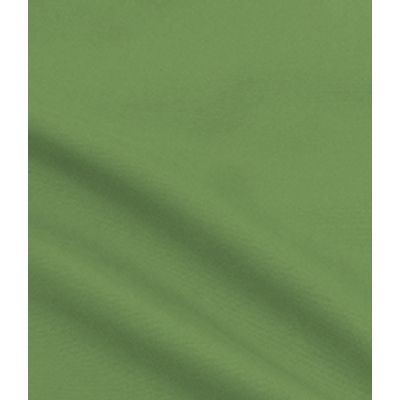 IMAGE_T