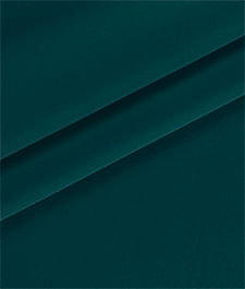 IMAGE_T