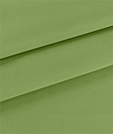 IMAGE_T