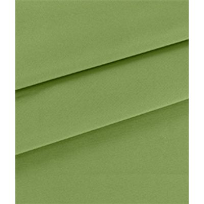 IMAGE_T