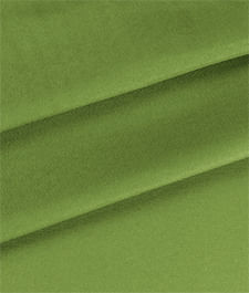 IMAGE_T