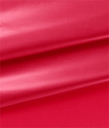 IMAGE_T
