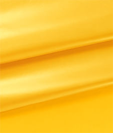 IMAGE_T