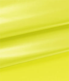 IMAGE_T