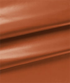 IMAGE_T