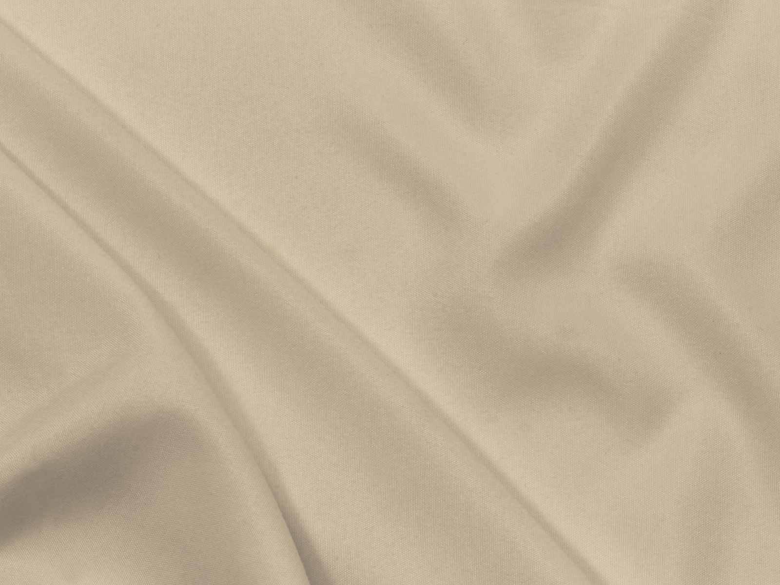 IMAGE_L