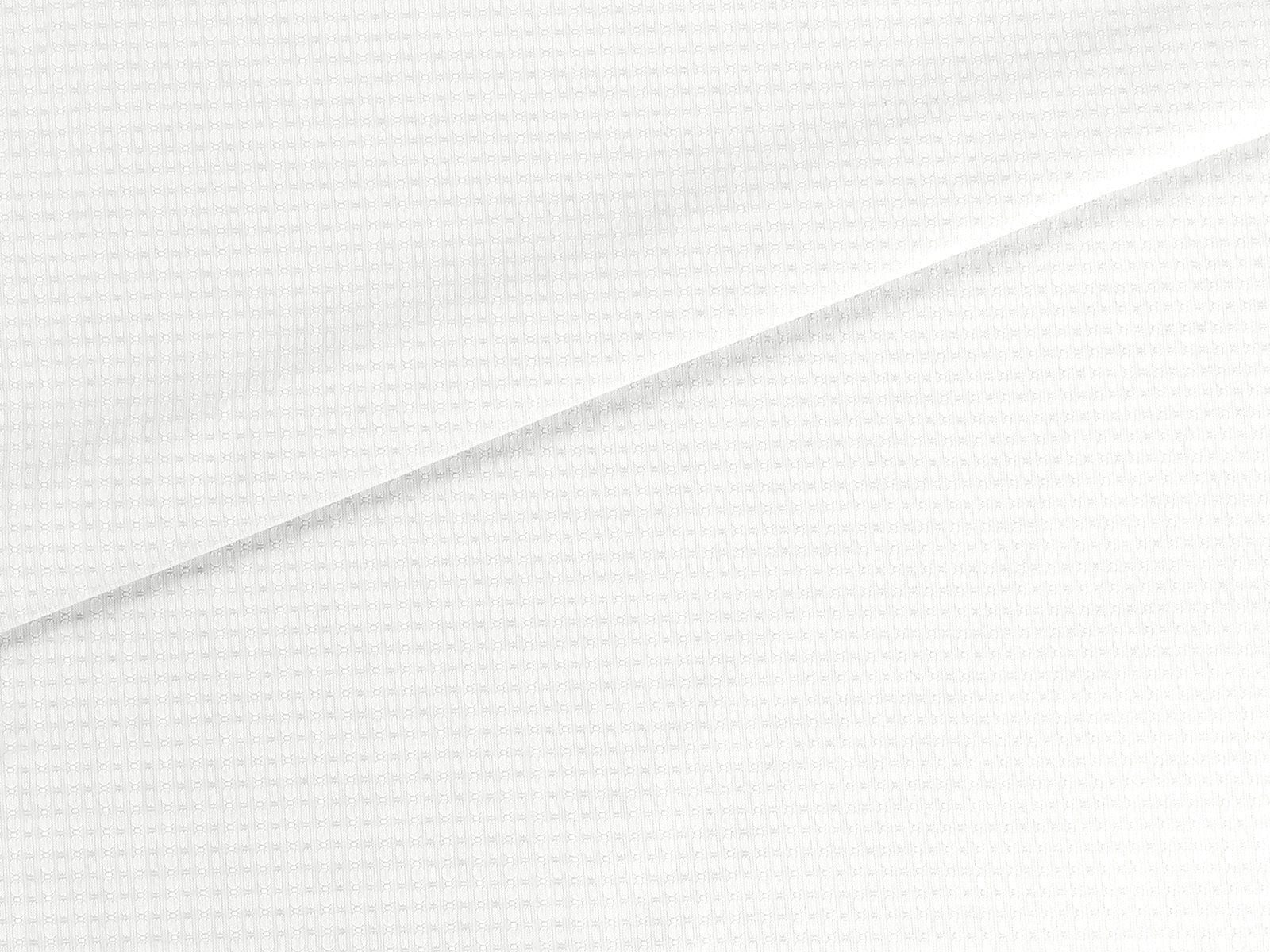 IMAGE_L